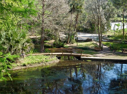 beautiful view of a lake surrounded by trees