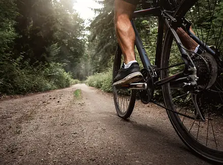 Man Cycling in woods