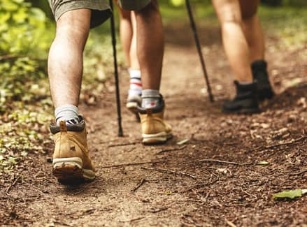 men hiking in woods