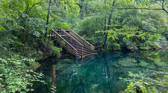 Peacock Spring State Park Florida