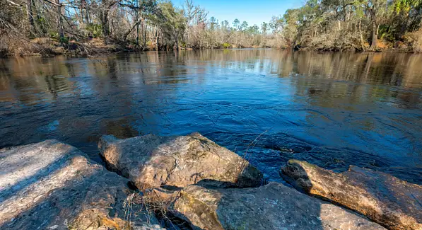 Silver Springs State Park in Florida