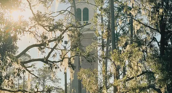 white building surrounded by trees